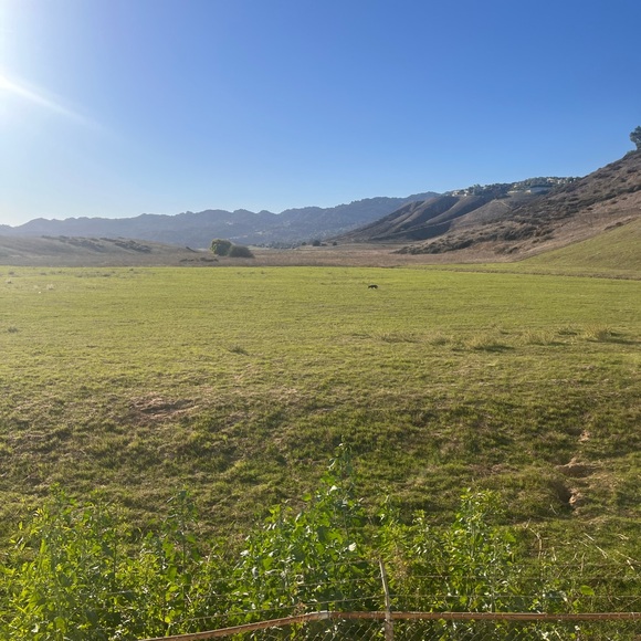 Meet your Posher, N - Picture 1 of 1